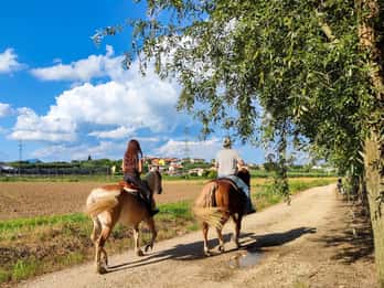 Lazise: Paseo a caballo y picnic en la granja comida local