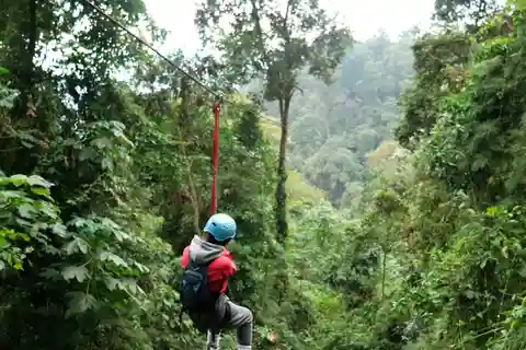 Caminhada na floresta com neblina de Chicaque