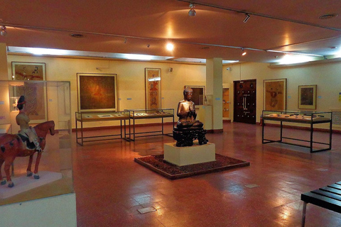 Delhi: Tour de museus com guias de turismo e transporte