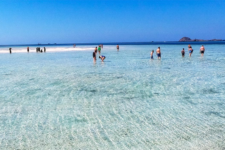 Labuan Bajo : Komodo Excursion privée d&#039;une journée avec plongée en apnée