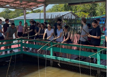 Amazonas: Visit the Meeting of Waters, an indigenous community, river dolphins and pirarucu Amazonas: Visit the Meeting of the Waters, an indigenous community, river dolphins, and pirarucu