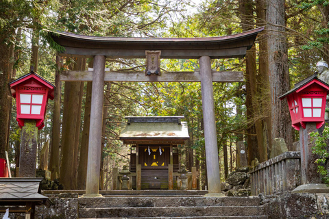 Tokyo: Mt Fuji Customizable Tour with Lakes & Pagoda