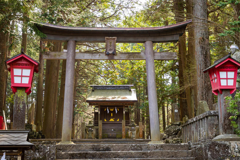 Tokyo: Mt Fuji Customizable Tour with Lakes & Pagoda