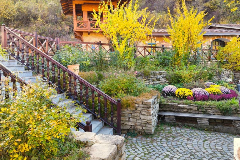 Sofia Holy Mount: Boyana Church & 3 Monasteries with 1 Trip! Private Option