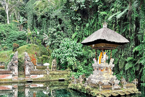 Bali: Ubud Swing, Rice Terrace & Temple Private Day Tour