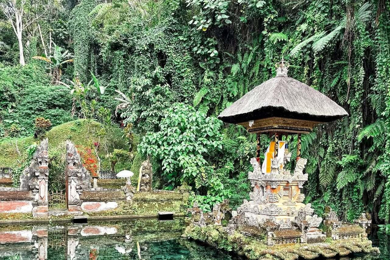 Bali: Ubud Swing, Rice Terrace & Temple Private Day Tour