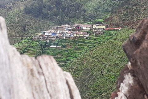 Vacances au Sri Lanka avec 5 jours de trekking sur la piste de PekoeVisite guidée en anglais Visite privée
