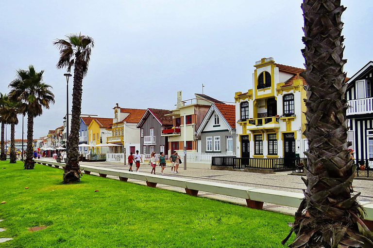 Porto to Lisbon with Aveiro-Coimbra-Fátima-Nazaré-Óbidos MINIBUS (9-19 PAX) WITH 3 STOPS