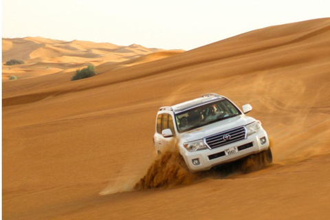 卡塔尔沙漠探险之旅：全地形车、骆驼骑乘体验等