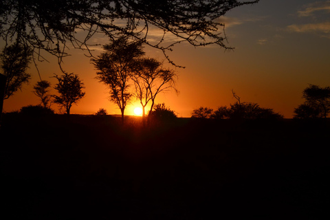 Arusha: 5-tägige Serengeti, Ngorongoro und Kilimandscharo Safari