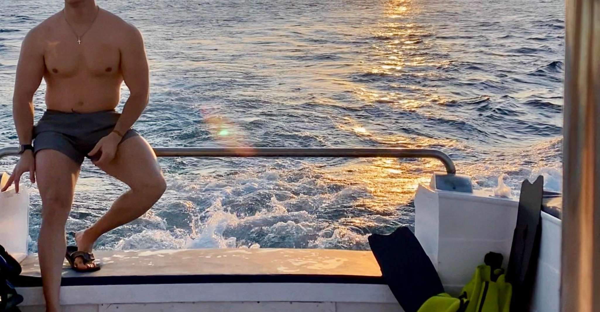 Desde Benalmádena & Torremolinos, viaje en barco de Dolphin Watch - Hizvo