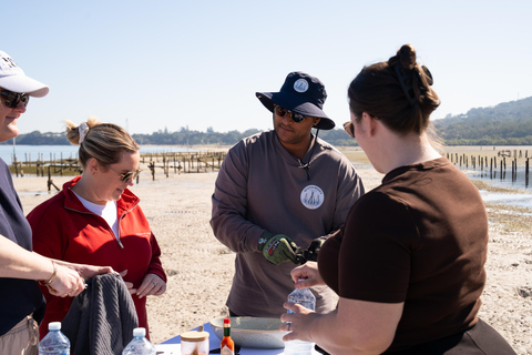 Stradbroke Island: First Nations Oyster Farm Tour & Tasting