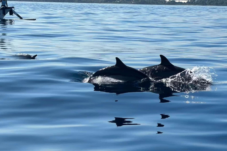 Lovina/Bali : Observation des dauphins, baignade et plongée en apnéeVisite en petit groupe avec lieu de rendez-vous