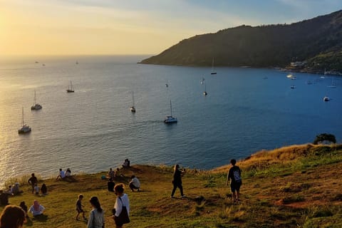 Phuket City Tour with Viewpoints, Temple & Elephant Watching