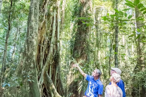 Sunshine Coast and Noosa Private Tour Experience Inc. Lunch
