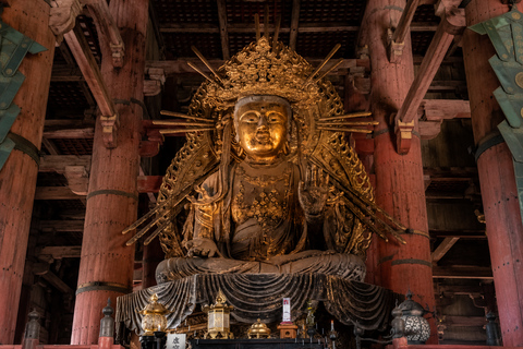 Nara: Deer Park, Todaiji Temple, & Great Buddha Walking Tour Private Tour