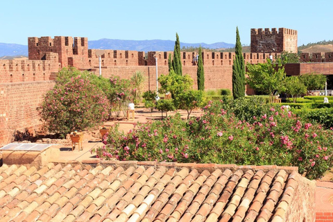 Atlantic Escape: A 10-Hour Coastal Journey from Lisbon