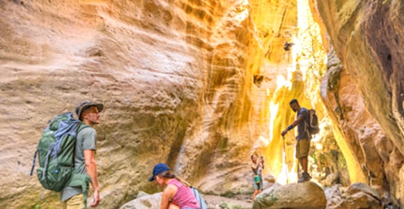 Avakas Gorge & Lara Beach Swim: Minibus Adventure from Pafos