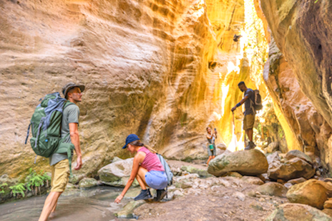 Avakas Gorge & Lara Beach Swim: Minibus Adventure from Pafos Summer Adventure 2026