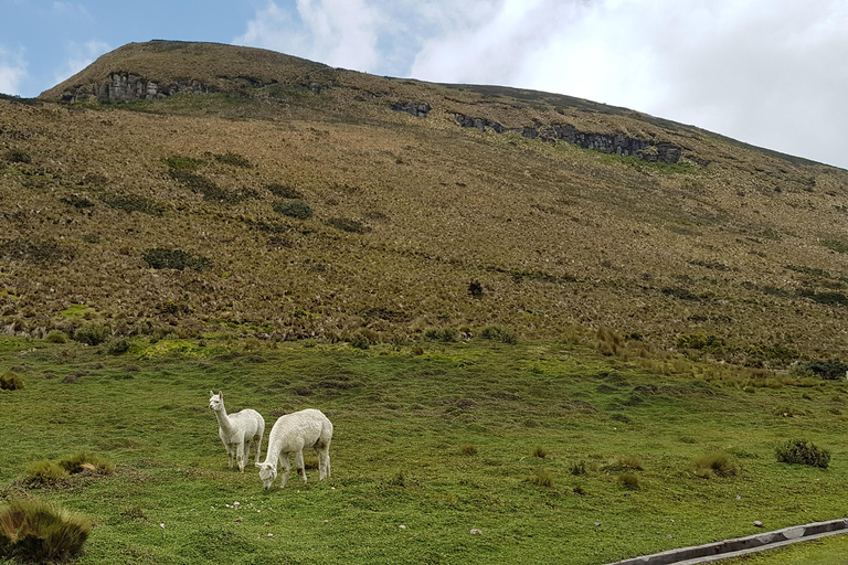 Aventure d&#039;observation du condor : Circuit au départ de Quito