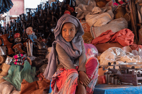 3-tägige Awash National Park &amp; Harar Tour