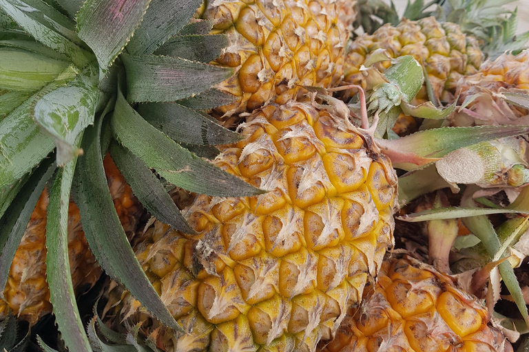 Excursão particular de meio dia - Mercado flutuante de Cái RăngExcursão particular de meio dia - Mercado flutuante de Cai Răng
