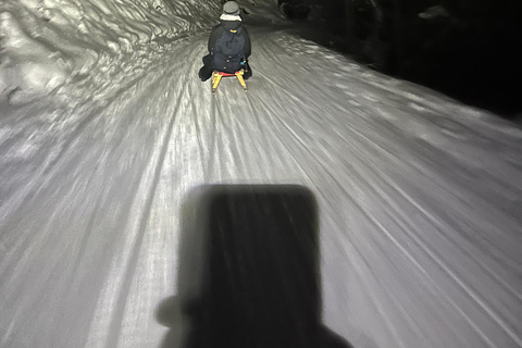 Interlaken: Night Sledding & Fondue Dinner with Guide