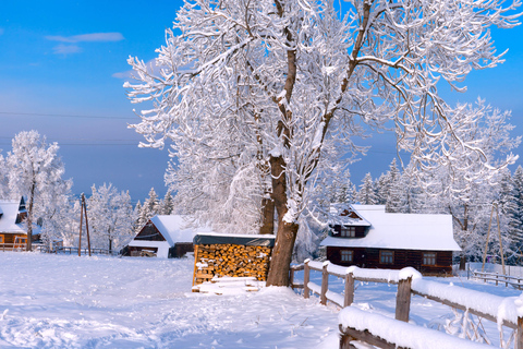 Zakopane: Horse-Drawn Rides with Local Guide & Food Tasting Winter: Snow Sleigh Ride