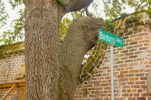 Charleston: Tour a pie por los Callejones Ocultos con entrada al MuseoCharleston: Tour a pie de los Pasajes Ocultos con entrada al Museo