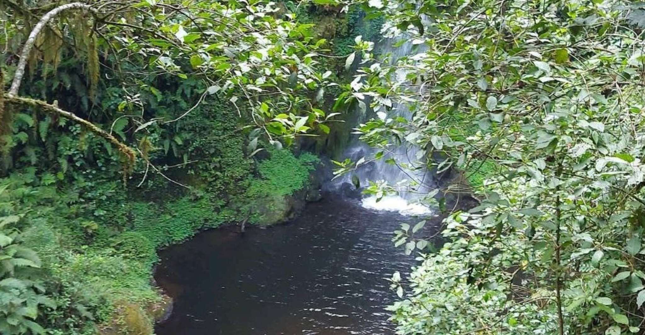 Marangu Waterfalls and Culture and History Tour - Housity