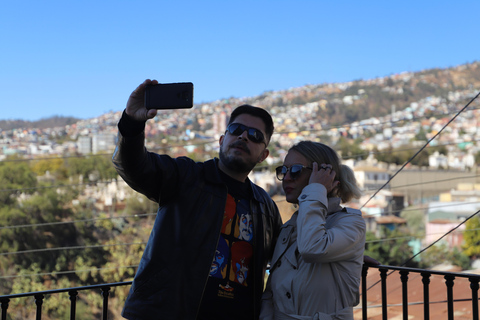 From Santiago: Full-Day Tour of Viña del Mar and Valparaiso