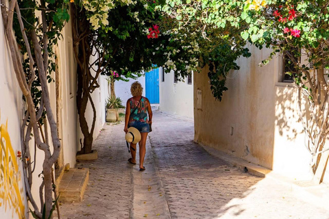 Djerba: Half-Day Djerba Island Tour Djerba and Zarzis: Half-Day Djerba Island Tour