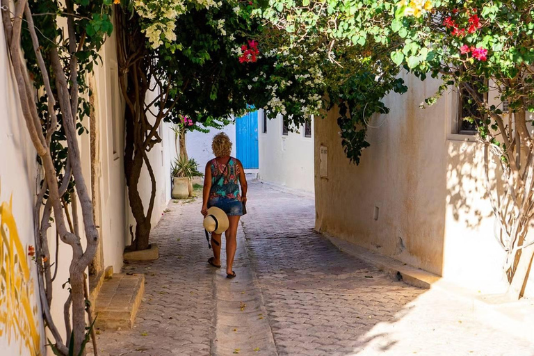 Djerba: Half-Day Djerba Island Tour Djerba and Zarzis: Half-Day Djerba Island Tour