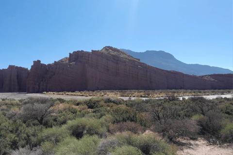 Full-day tour to Cafayate, Winery Visit and Wine Tasting