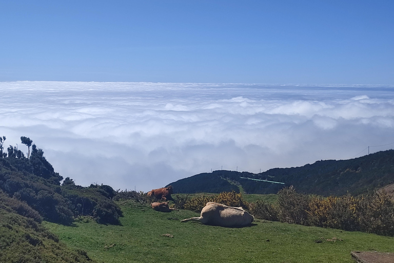 Private Minubus 8 seater