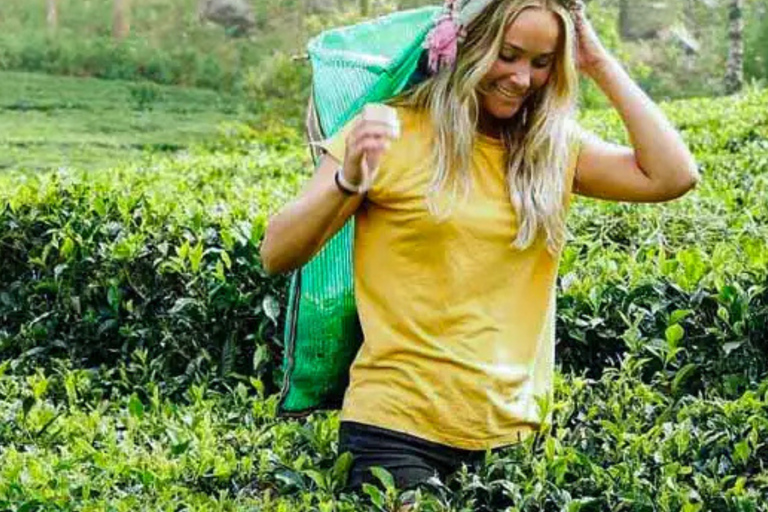 Lipton Seat Legacy: Tuk-Tuk & Train Tea Trails Tour