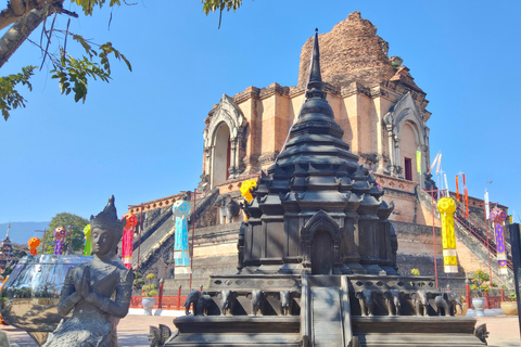 Chiang Mai: Temples & Old City Hidden Gems with local guide Private Tour (with transfer)
