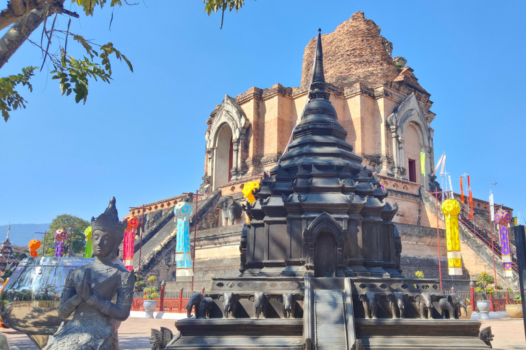 Chiang Mai: Temples & Old City Hidden Gems with local guide Private Tour (with transfer)