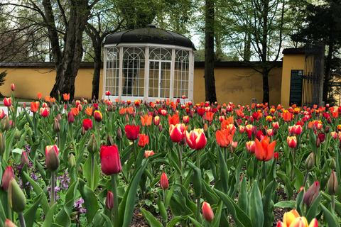 Salzburg: Private the Hills are alive Tour with Pickup