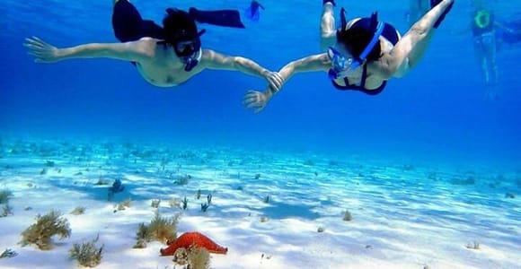 Cozumel El Cielo Sandbar and Reef Snorkeling Tour