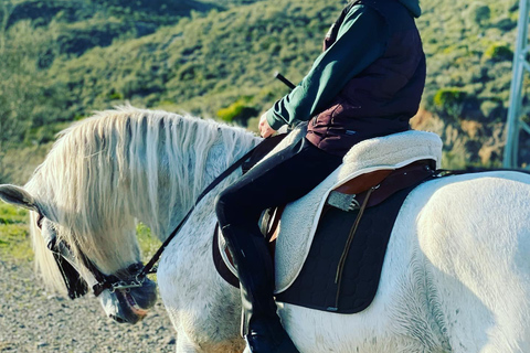 Málaga: Guided tour on horseback in the Guadalhorce Valley Malaga: Guided tour on horseback through the Guadalhorce Valley in french language