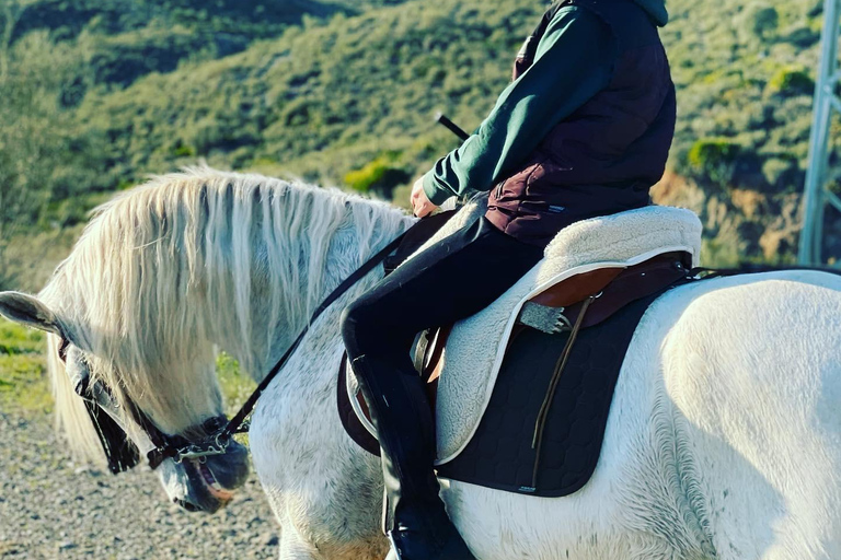 Málaga: Guided tour on horseback in the Guadalhorce Valley Malaga: Guided tour on horseback through the Guadalhorce Valley in french language