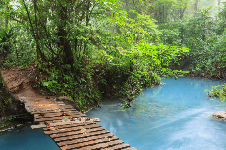 Costa Rica: Tour d&#039;avventura di 6 giorni con hotel e attività