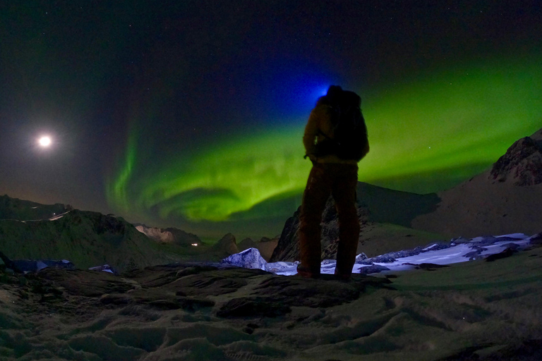 From Tromsø: Discover Senja Island with Local Guide From Tromsø: Privately Discover Senja with Local Guide