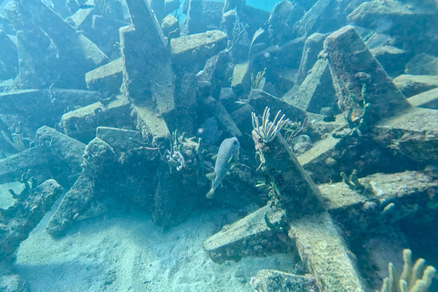 Ft Lauderdale: Combo Deal Snorkel Reefs, Kayak/SUP Mangroves