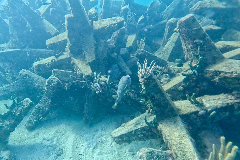 Ft Lauderdale: Combo Deal Snorkel Reefs, Kayak/SUP Mangroves