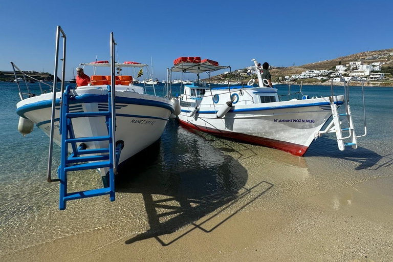 Mykonos: Half day Kaiki Cruise with cruiseship pick up