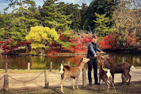 Nara: Todaiji, Kasuga and Nara Park Nara City tour: Todaiji and Nara Park