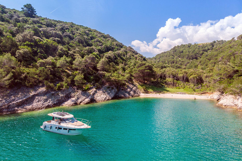 Private Tour mit dem Schnellboot Sea Symphony