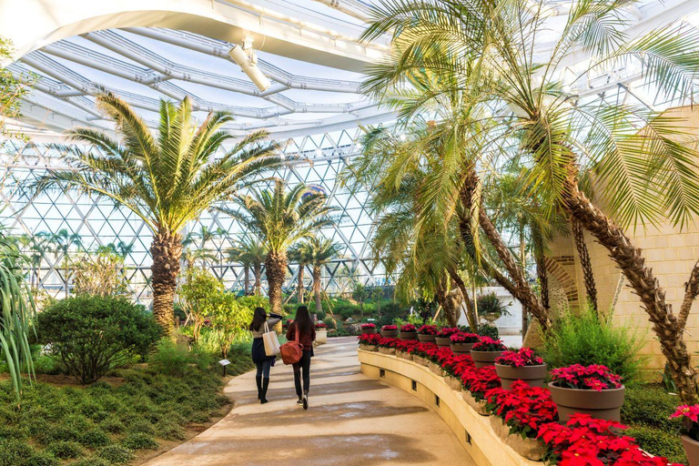 Seoul Private Car & Driver – 9h Custom Day with Pickup